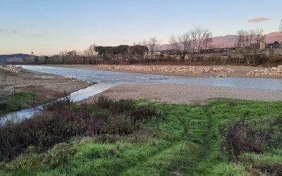 Progetto di Manutenzione straordinaria arginature Leopoldine del Fiume Arno